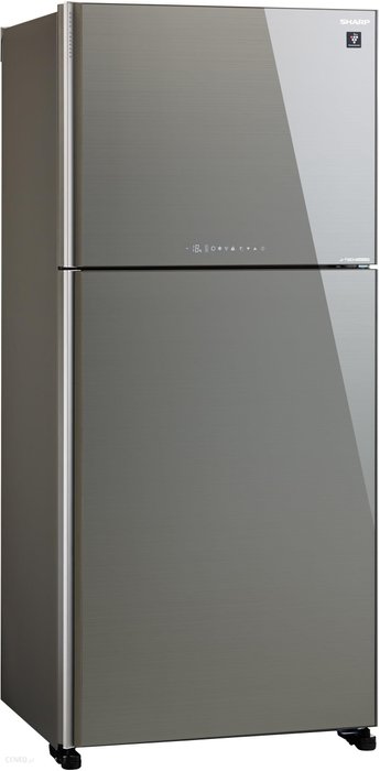 Sharp SJ-XG690G-SL