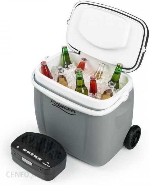 Auna Picknicker Trolley Music Cooler Przenośna Chłodziarka Na Kółkach 36L Głośni