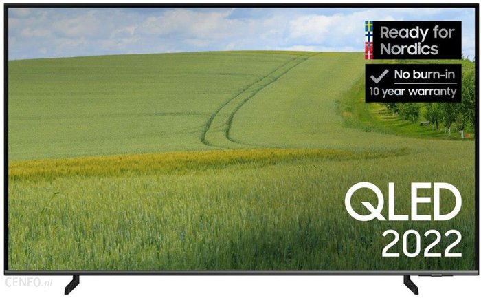 Samsung QE50Q65B