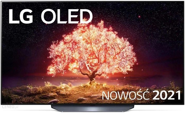 LG OLED55B13LA