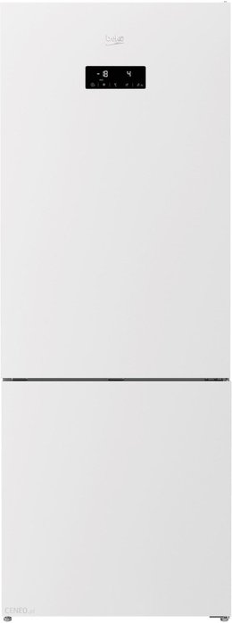 Beko RCNE560E60ZGWHN