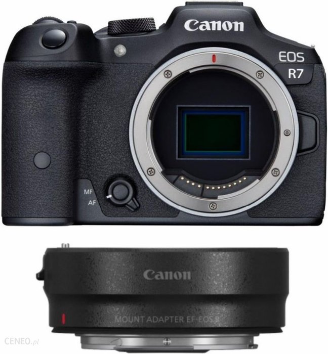 Canon EOS R7 + adapter EF-EOS R eBox24-8030400 фото