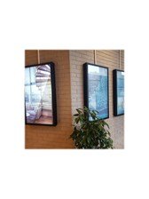 Hi-Nd Wall Casing PROTECT 49" Portrait - mounting kit - for LCD display - black RAL 9005