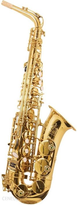 Saksofon altowy Trevor James The Horn 3730G eBox24-8102407 фото