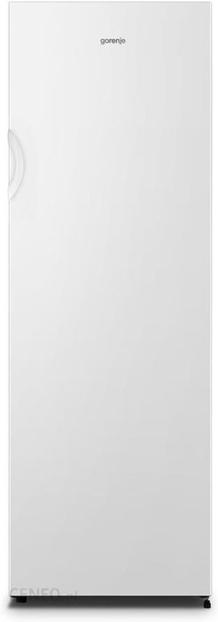 Gorenje FN4171CW