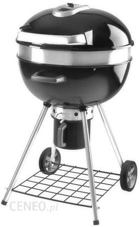 Napoleon Grill Pro22K