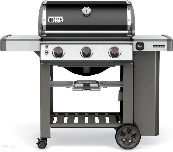 Weber Genesis II E-310 Gbs 61010133